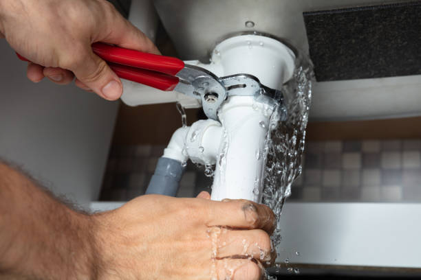 Best Flooded house restoration  in Griffith, IN