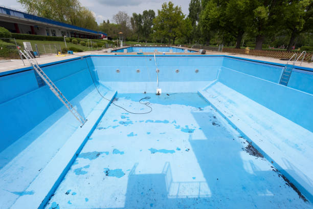 Best Water damage contractors near me  in Griffith, IN