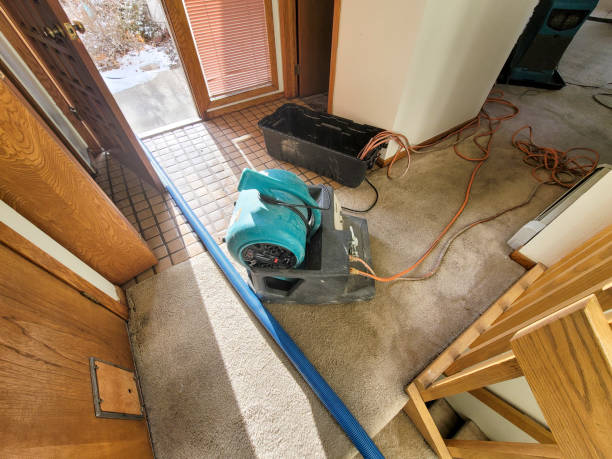 Best Local water damage restoration  in Griffith, IN