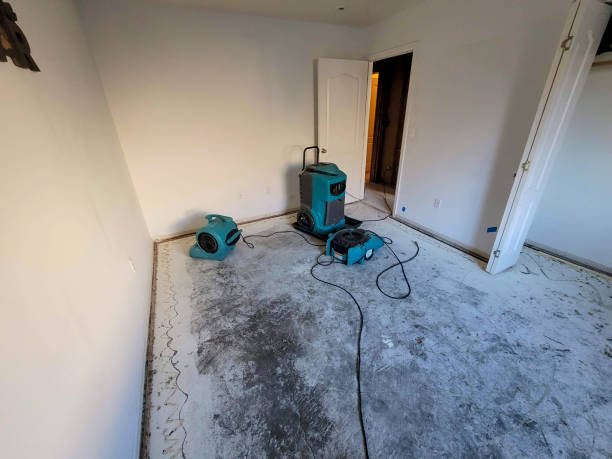 Best Fire Damage Restoration  in Griffith, IN