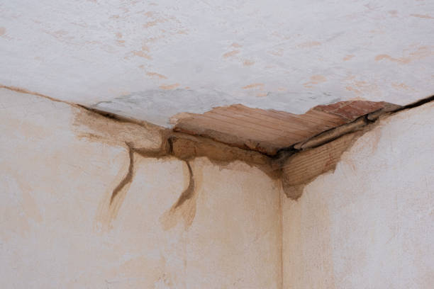 Best Flooded house restoration  in Griffith, IN