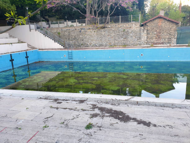 Best Flood restoration services  in Griffith, IN