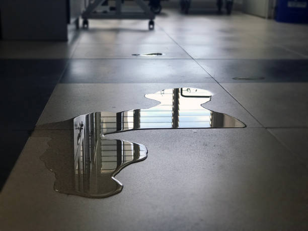 Best 24/7 water damage repair  in Griffith, IN