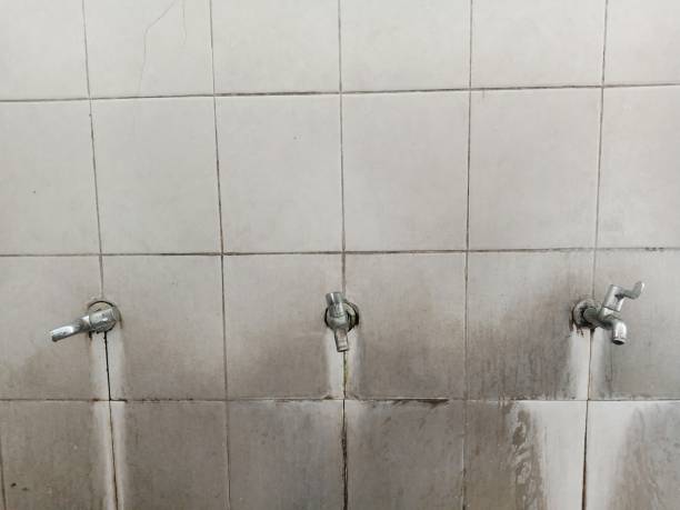 Best Basement water damage restoration  in Griffith, IN