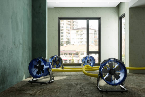 Best Water damage restoration near me  in Griffith, IN
